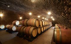 Domaine Drouhin-Laroze Domaine Drouhin-Laroze's Barrel Room Winery Image