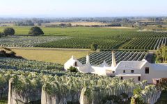 Te Mata Estate Coleraine House Winery Image