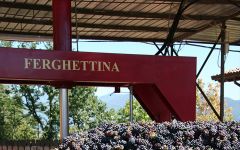 Ferghettina Pinot Noir Pressing Winery Image