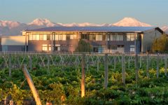 Zolo Winery Image