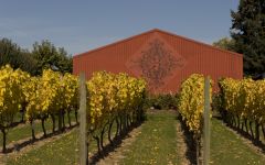 Four Graces The Four Graces Vineyard and Barn Winery Image