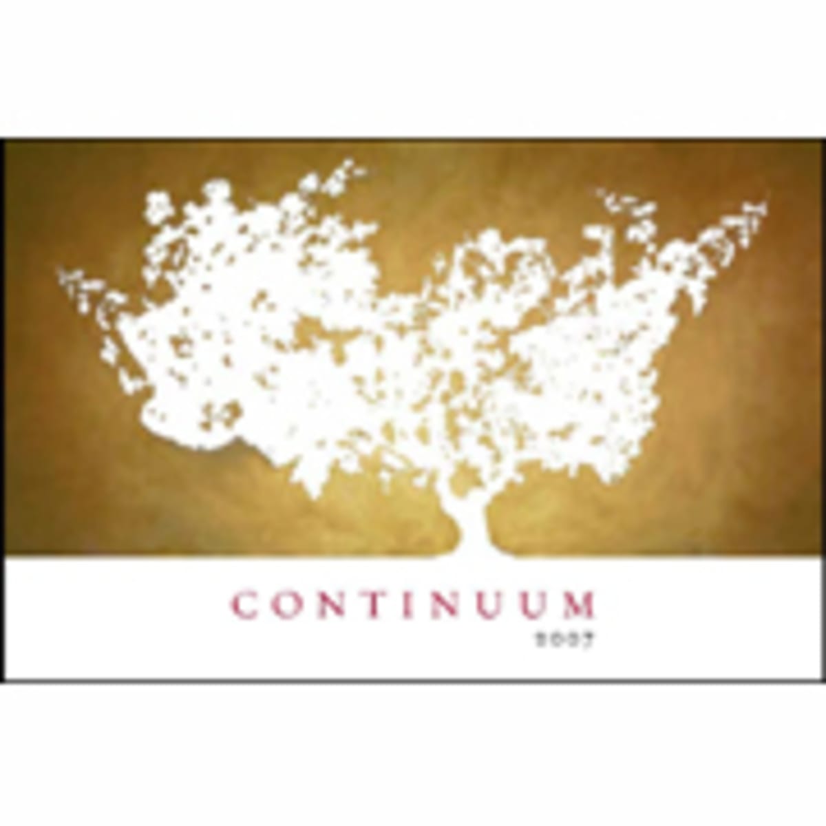 Continuum (signed) 2007 Front Label