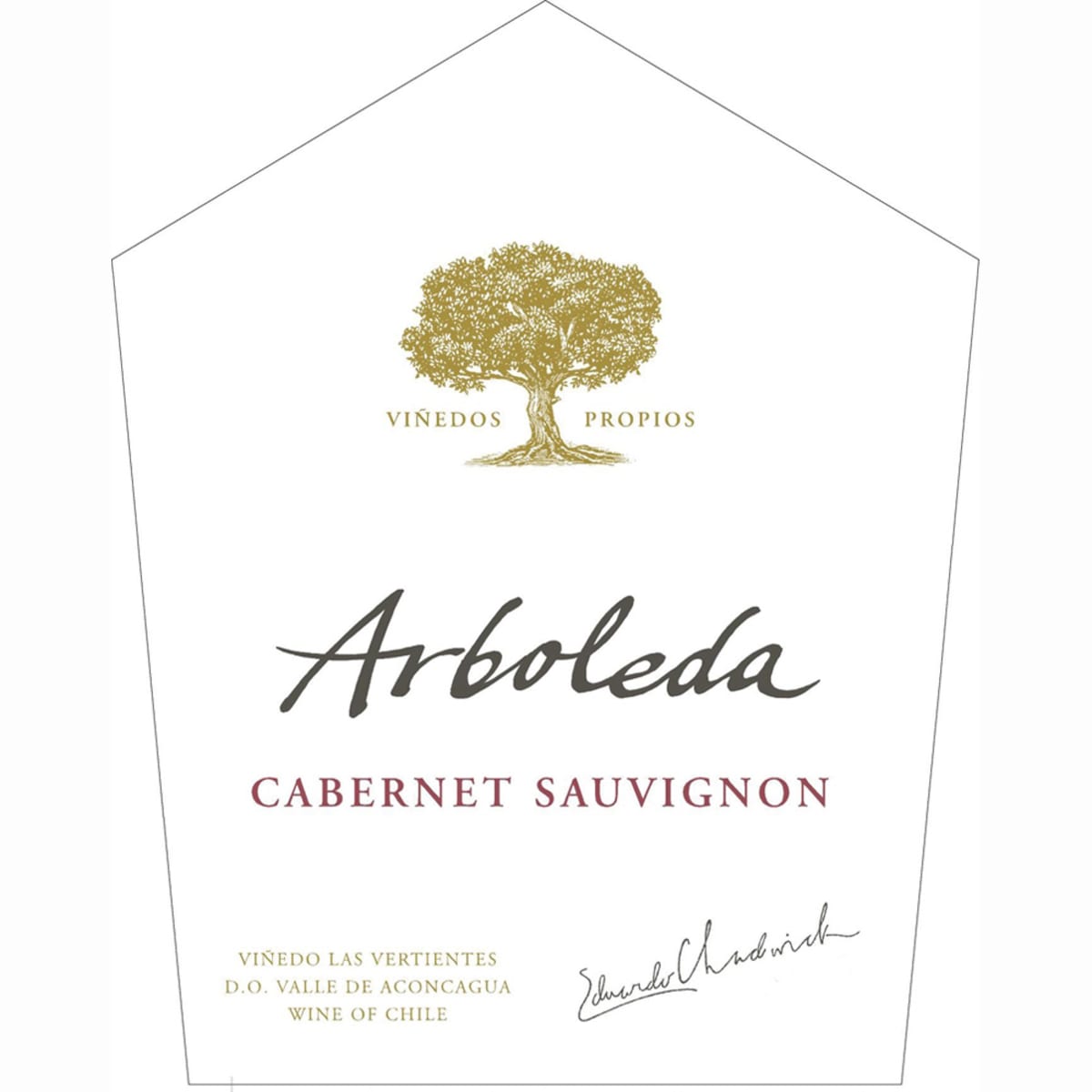 Arboleda Cabernet Sauvignon 2010 Front Label