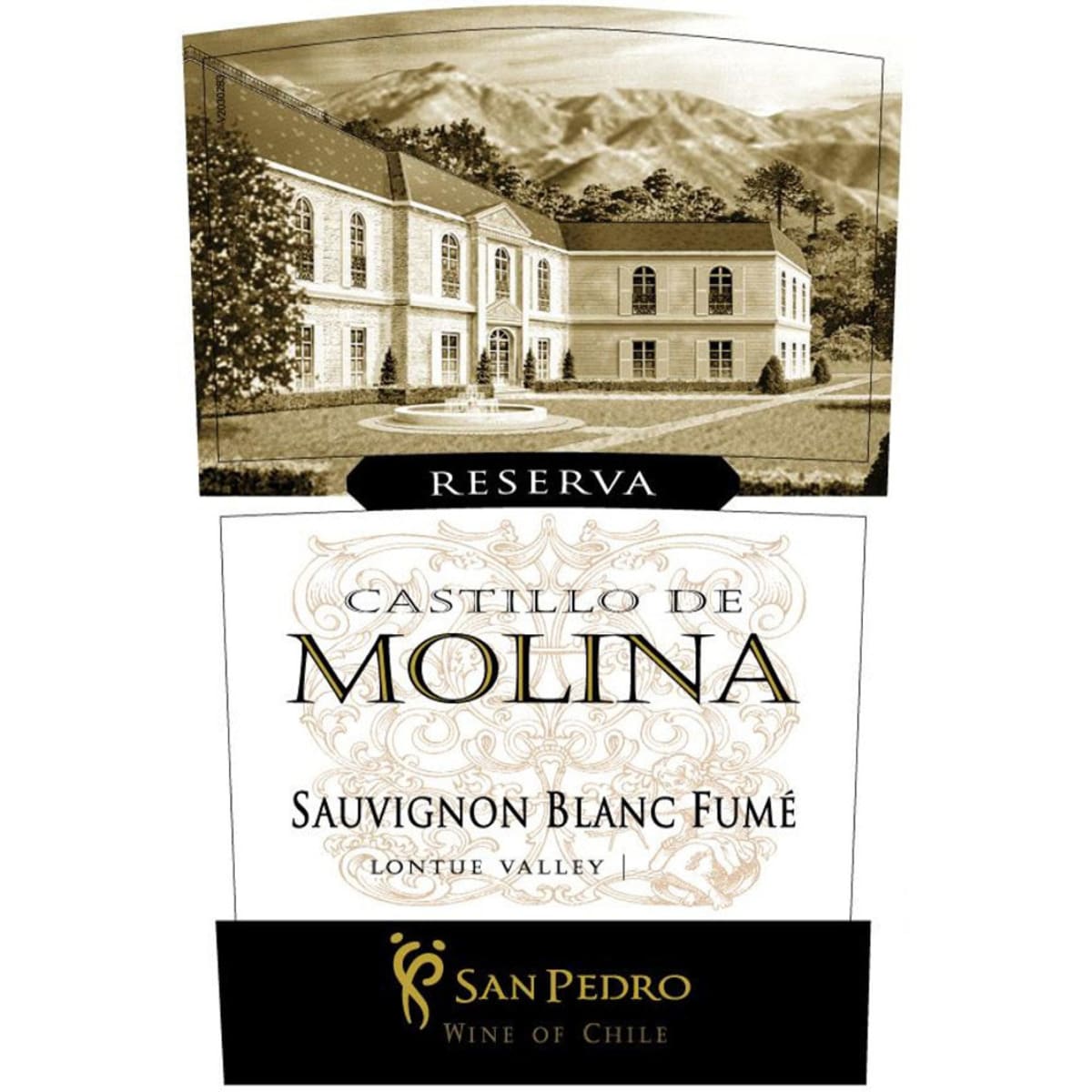 Vina San Pedro Castillo de Molina Reserva Sauvignon Blanc 2013 Front Label