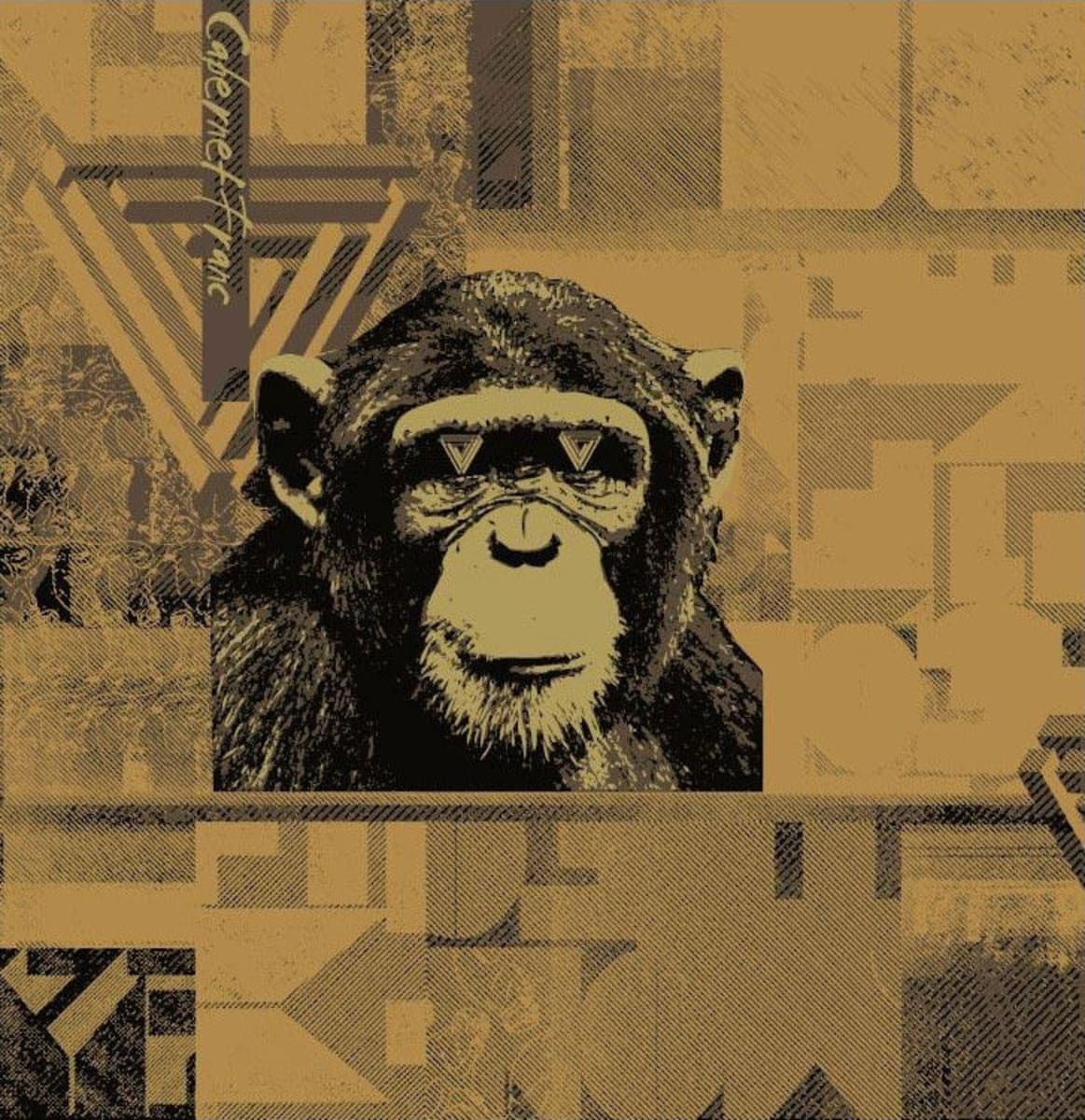 The Infinite Monkey Theorem Cabernet Franc 2014 Front Label