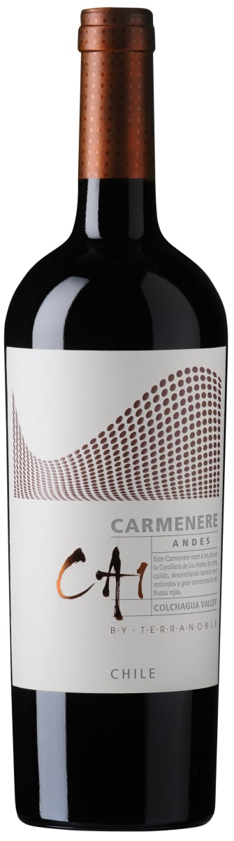TerraNoble CA1 Andes Carmenere 2015  Front Bottle Shot
