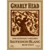 Gnarly Head San Bernabe Vineyard Sauvignon Blanc 2015 Front Label