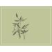 Arnot-Roberts Vare Vineyard Ribolla Gialla 2019 Front Label