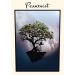 DAOU Vineyards Pessimist Red Blend 2020 Front Label