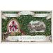 Maximin Grunhaus Schloss Riesling 2020 Front Label