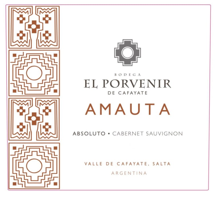 El Porvenir de Cafayate Absoluto Cabernet Sauvignon 2020 Front Label