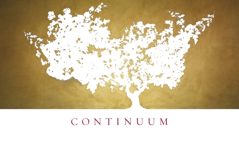 Continuum  2019  Front Label