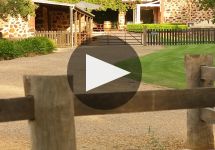 Langmeil Winery Video