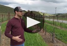 Eden Rift Vineyards Winery Video