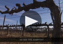 Franciscan Estate Winery Video