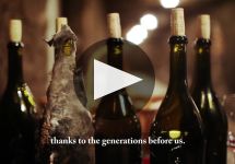 Domaine Tollot-Beaut Winery Video
