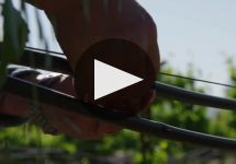 Parducci Winery Video