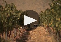 Santa Ema Winery Video