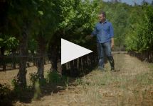 Clos du Bois Winery 40th Anniversary Video Winery Video