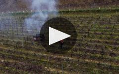 Bouchard Pere & Fils Winery Video