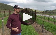 Eden Rift Vineyards Winery Video