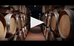 Piccini 1882 Winery Video