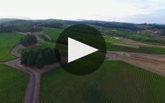 Gran Moraine  Winery Video