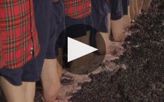 Quinta do Vesuvio Winery Video