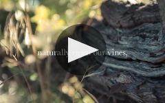 Stoneleigh  Winery Video