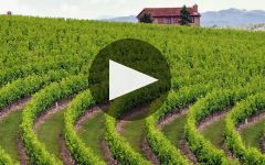 Cenyth Winery Video