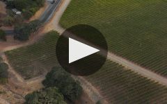 Paul Hobbs Winery Video