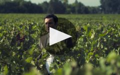 Lapostolle Winery Video