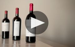 Vetus Winery Video