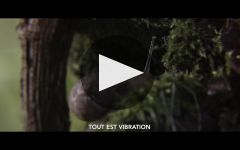 Champagne Leclerc Briant Everything is Vibration Winery Video