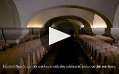 Feudi di San Gregorio Wine - Learn About & Buy Online