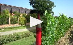 Pico Maccario Winery Video
