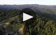 Big Basin Winery Video