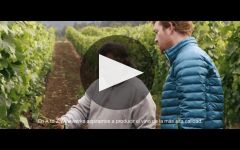 A to Z Winery Video