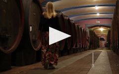 Fontanafredda Winery Video