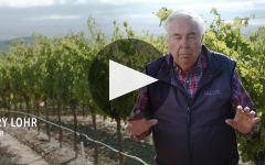 J. Lohr Vineyards & Wines Family, Place and Craft Winery Video