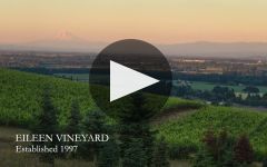 Cristom Vineyards Winery Video