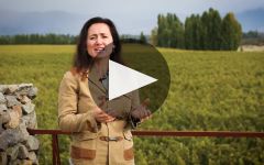 Catena Learn More About Adrianna Vineyard Winery Video