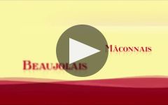 Louis Jadot Winery Video