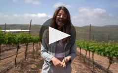 Shiloh Winery Winery Video