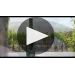 Robert Mondavi Maestro 2017 Maestro Winemaker Notes Product Video