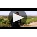 J. Lohr Hilltop Cabernet Sauvignon 2021 Winemaker Tasting Notes Product Video