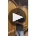 Wittmann Rheinhessen Estate Riesling Trocken 2019 Winemaker Tasting Notes Product Video